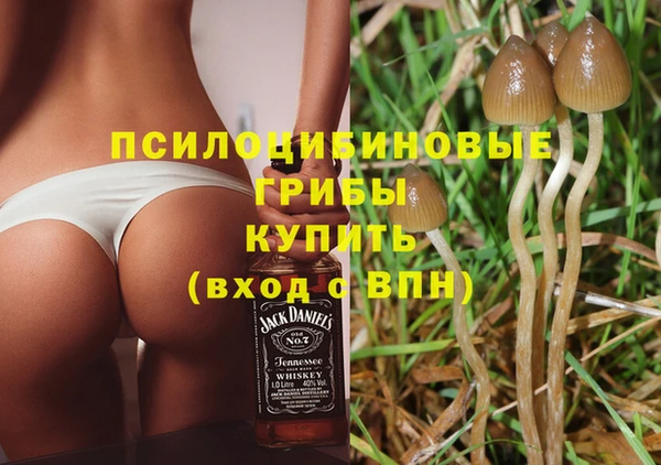 прущие грибы Алзамай
