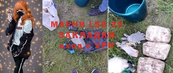 прущие грибы Алзамай