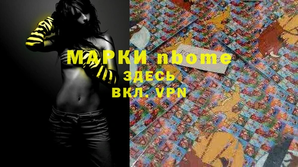 прущие грибы Алзамай