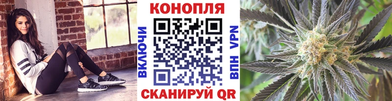 Шишки марихуана Amnesia  купить наркоту  Петушки 